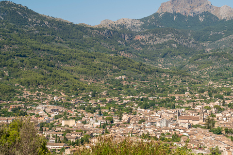 Mallorca: Örundtur med båt, spårvagn och tåg från söder