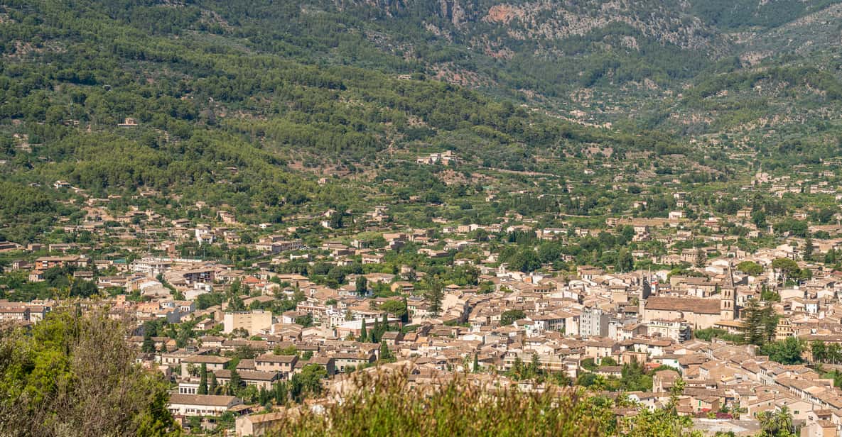 Afbeelding 28 van Mallorca: Eilandtour met boot, tram en trein vanuit het zuiden