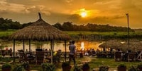 De Katmandou ou Pokhara,Luxury 4 jours Chitwan Tour Package - Hizvo