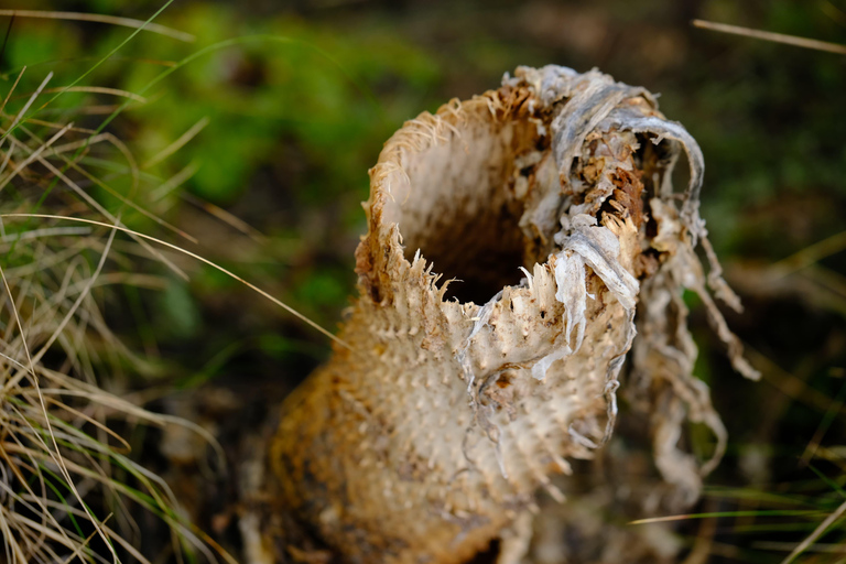 Aberdare National Park: Mount Satima Overnight Hike