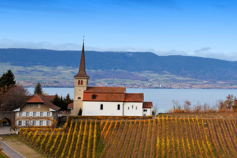 Geneva: Guided wine tourWINE TOUR