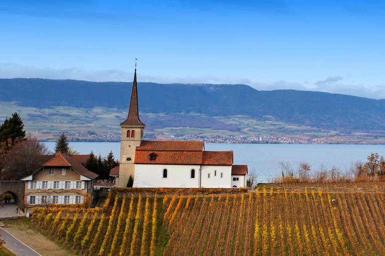 Genève : Visite guidée des vignoblesTOUR DU VIN