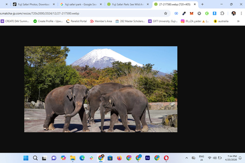 Tokyo: Private Daytrip to Mount Fuji - Fully Customizable Mt Fuji Private Luxury Van Tour (Customizable Experience)