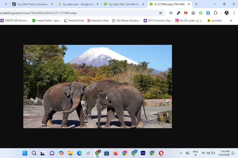 Tokyo: Private Daytrip to Mount Fuji - Fully Customizable Mt Fuji Private Luxury Van Tour (Customizable Experience)
