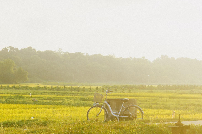Hanói: salsa de soja, pueblo de los vermicelli y pagoda Thang NghiemTour privado: pueblo de la salsa de soja, pagoda, pueblo del incienso y sombreros