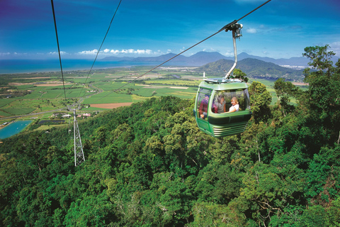 From Port Douglas: Hartley's Crocodile Park, Skyrail & Train