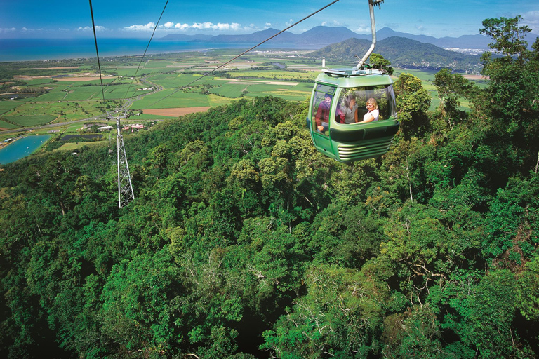 From Port Douglas: Hartley's Crocodile Park, Skyrail & Train