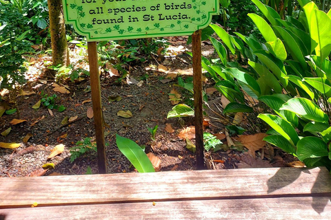 Santa Lúcia: Caminhada pela natureza e fuga do jardim botânico