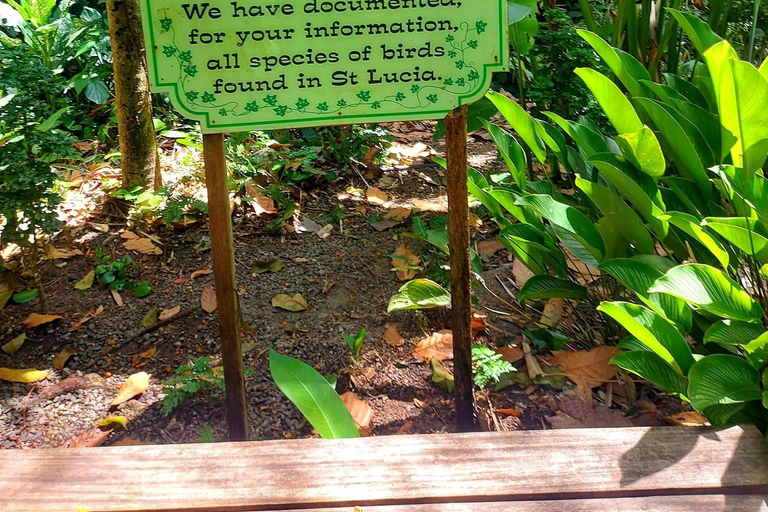 Santa Lúcia: Caminhada pela natureza e fuga do jardim botânico