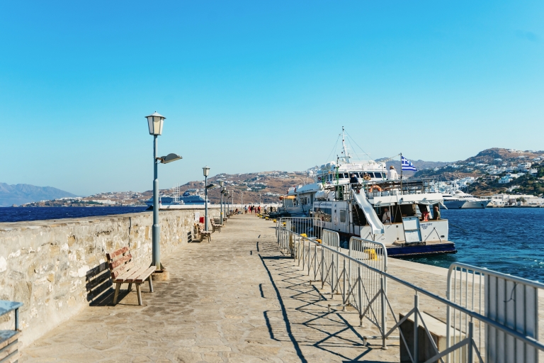 De Mykonos : visite guidée de Delos avec billets coupe-fileVisite en italien