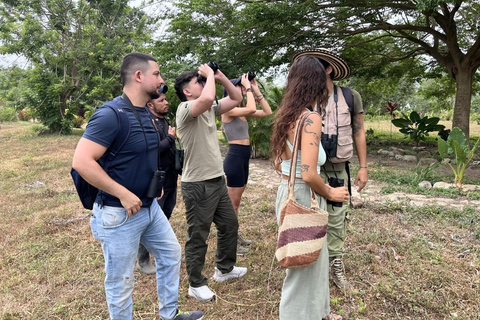 Palomino: Guided Birdwatching Tour with Hotel Pickup