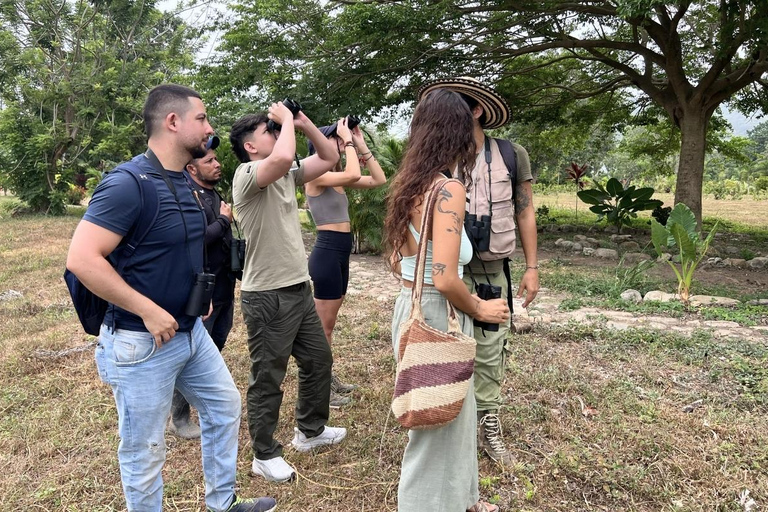 Palomino: Guided Birdwatching Tour with Hotel Pickup