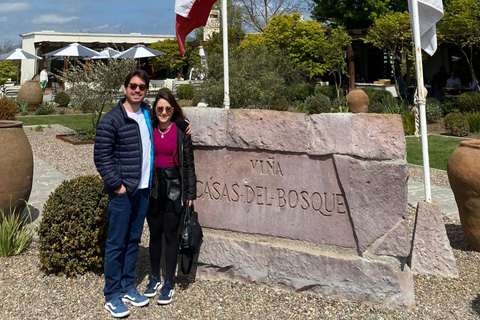Casas del Bosque: Private Tour with Food Tasting/Lunch + Viña del Mar/Valparaiso