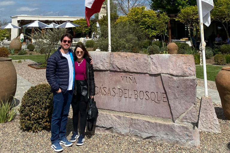 Casas del Bosque: Private Tour with Food Tasting/Lunch + Viña del Mar/Valparaiso