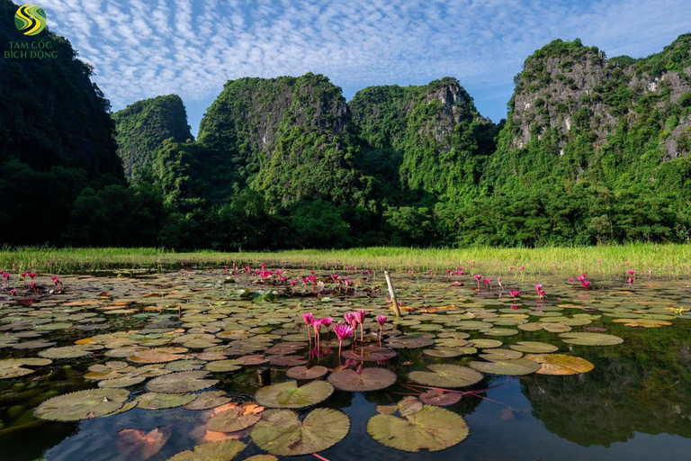 Hanoi: Trang An UNESCO, Mua Cave, Hoa Lu or Dich Long Pagoda GROUP: Hoa Lu, Trang An UNESCO BOAT, Mua Cave, Buffet, Cycle