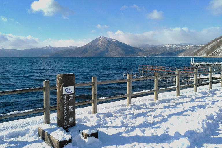 Sapporo Winter Adventure: Lake Toya & Mt. Moiwa Night View