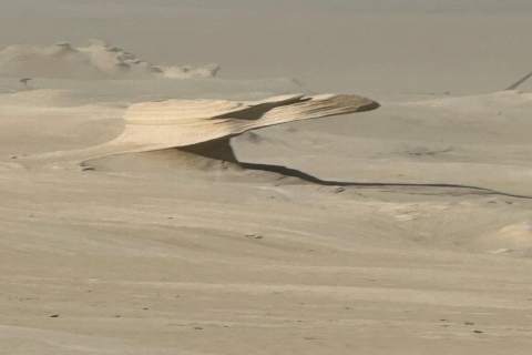 Visite des dunes fossiles d'Al Wathba et du long lac salé à Abu Dhabi