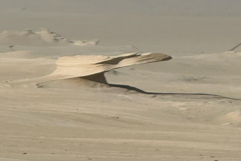 Abu Dhabi: Tour delle dune fossili, del lago salato e della pista dei cammelliAbu Dhabi: Dune fossili, lago salato e tour su pista per cammelli