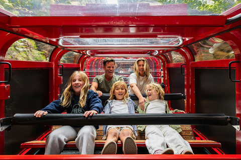 Sydney: Blue Mountains In-depth Tour with Scenic World Ride Meeting Point Pickup and Ferry Return