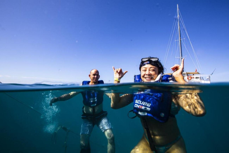 Waikiki: Wycieczka z rurką z hawajskimi zielonymi żółwiami morskimiWaikiki Snorkel Tour