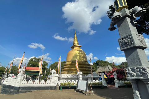 Colombo/Negombo: Sigiriya, Kandy, Ella - Viagem de 1 dia com comboio