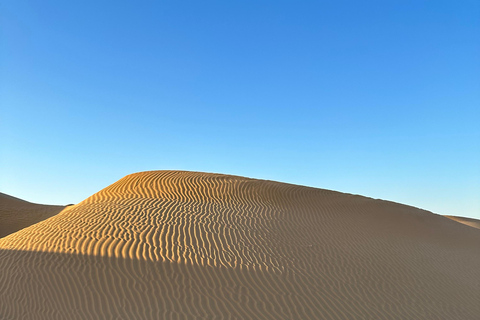 Tournée dans le désert de The Empty Quarter