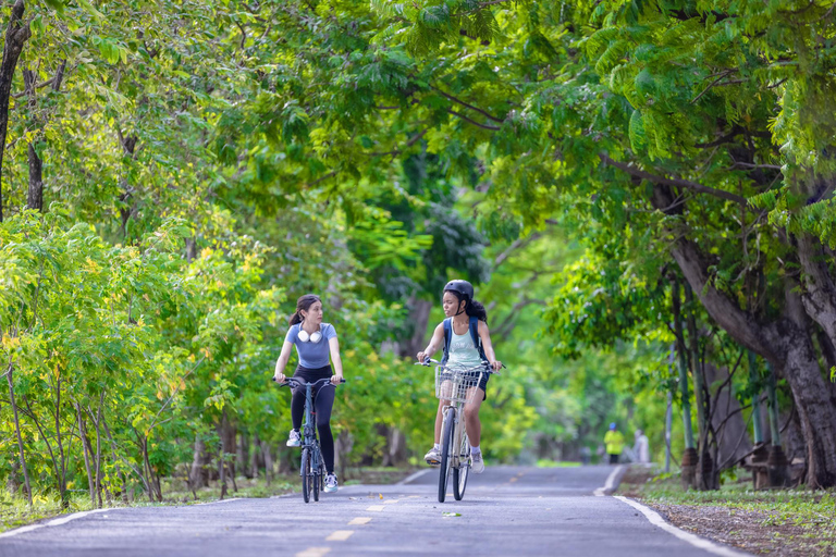 جولة شيانغ ماي بالدراجة: في ريف لانا مع مرشدرحلة ركوب الدراجات المشتركة لاستكشاف ريف لانا