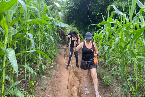 Chiang Rai Trek: 4 Hilltribes Villages & Waterfall Only Walk