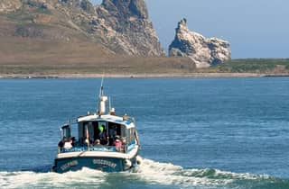 Dublin: „Ireland's Eye“ und Howth-Küste – Bootstour