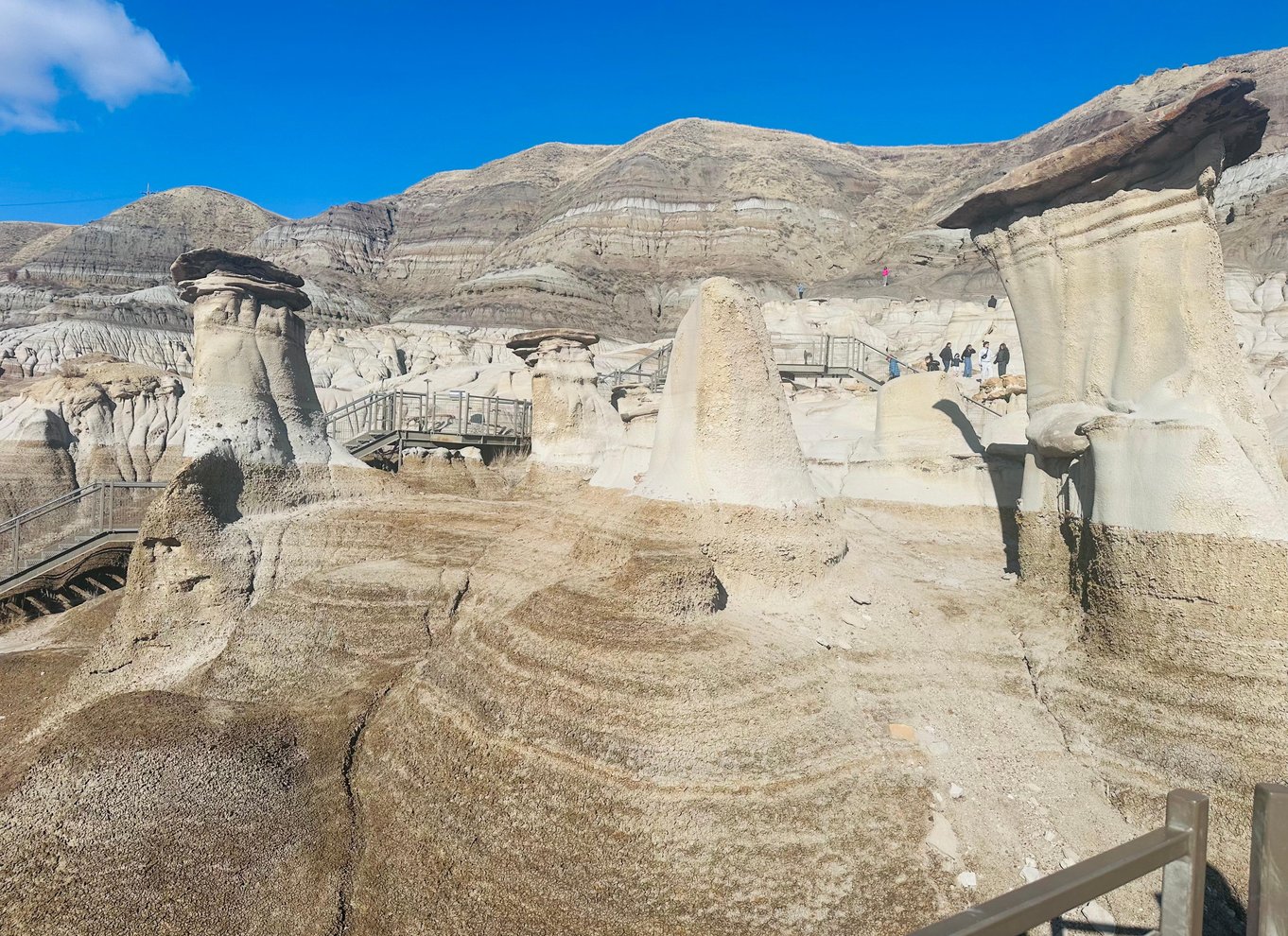 Badlands-tur: Drumheller med museum, hoodoos og dinosaurer