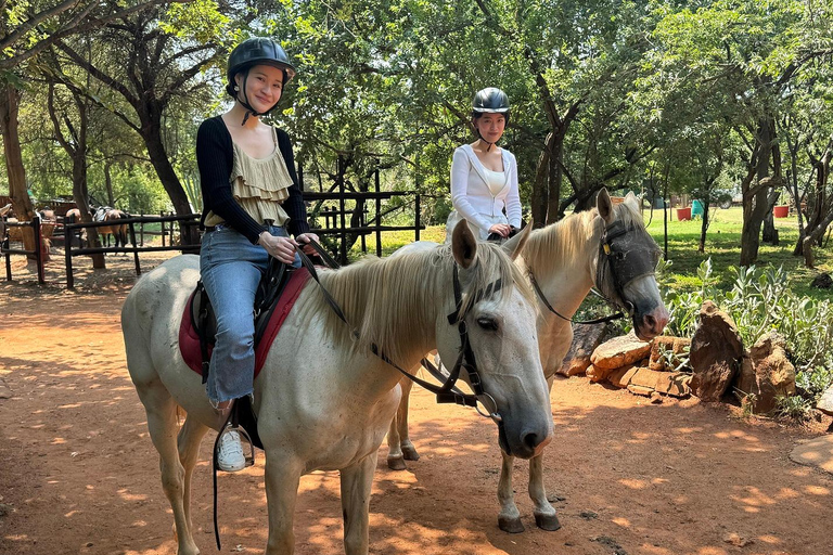 Vanuit Johannesburg: Paardrijden safari