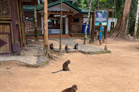 PPS: Underground River & Firefly Cruise Private Tour