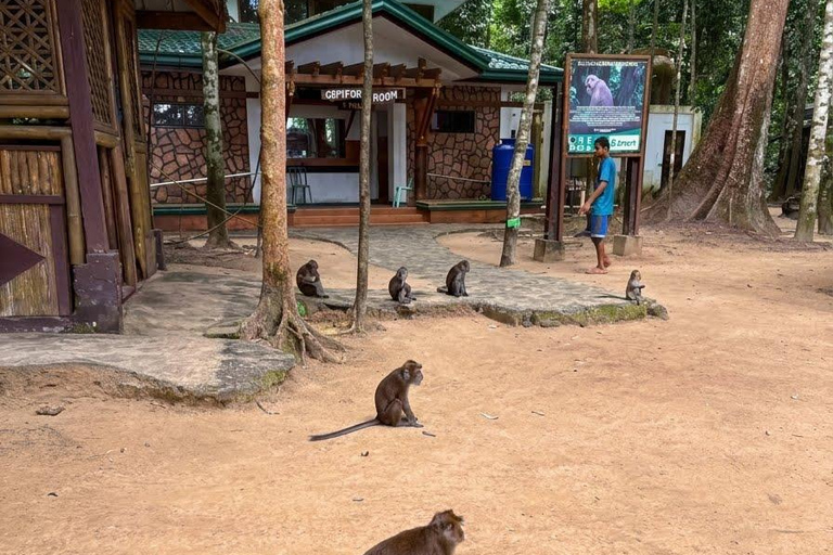 PPS: Underground River & Firefly Cruise Private Tour