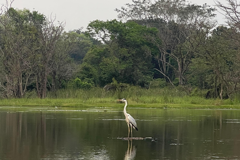 Habarana-Lake Eco-Adventure Boat Tour and Nature Walk