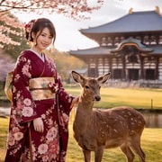 Kyoto/Nara : Nara Full-Day Private Tour with English Guide