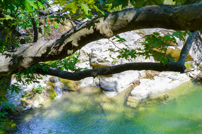 Thassos: Jeep Safari to Kastro, Ipsarion, and Maries