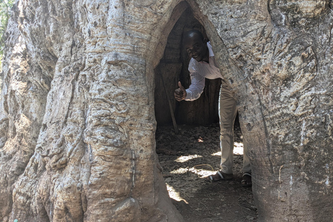 قرية ماكوندوتشي: جولة ثقافية وروحية مع وجبة غداءقرية ماكوندوتشي: جولة ثقافية وروحية مع الغداء