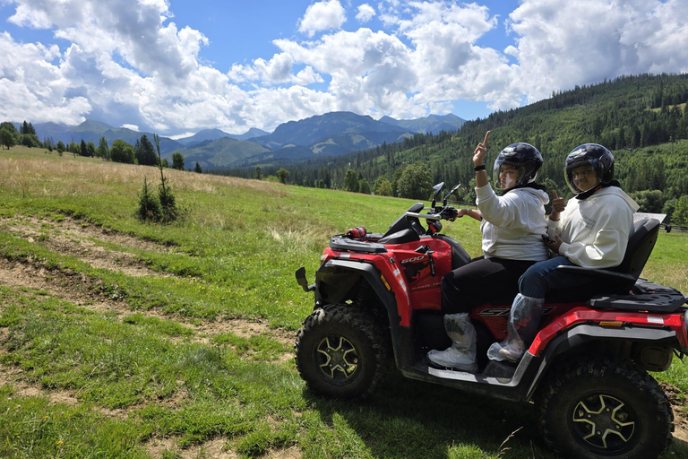 Zakopane: Snowmobile, Quad, or Buggy Tatra Mountains Tour