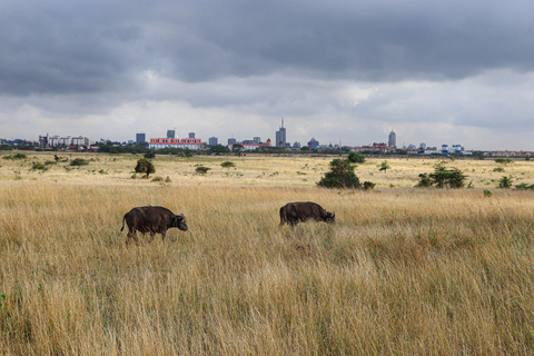 Nairobi National Park