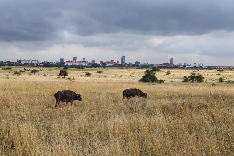 Nairobi National Park: Half-Day TripNairobi National Park: Half-Day Trip in a 4X4