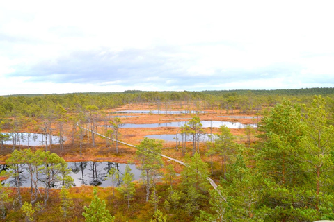 Discover Estonia – car tour to Viru bog and to waterfalls.