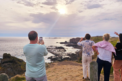 Phillip Island: Golden Hour Penguin Express-tourPhillip Island: Gouden Uur Pinguïn Express Tour