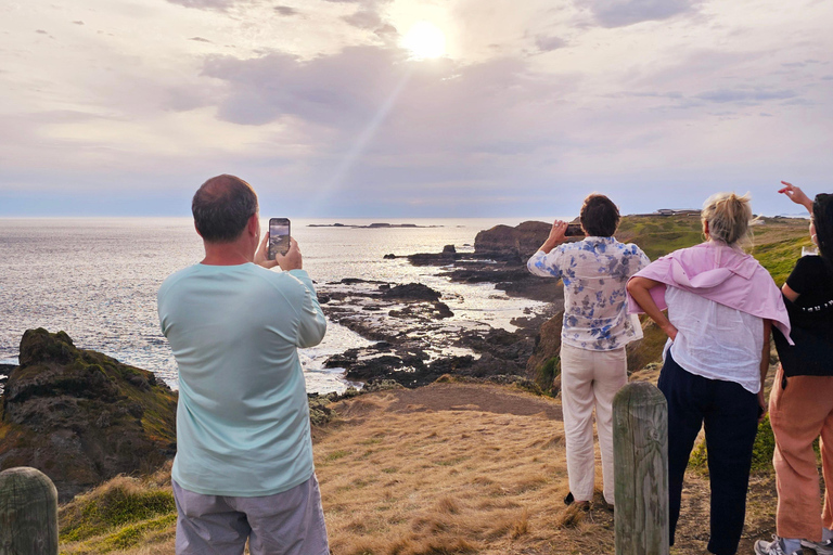 Phillip Island: Golden Hour Penguin Express-tourPhillip Island: Gouden Uur Pinguïn Express Tour
