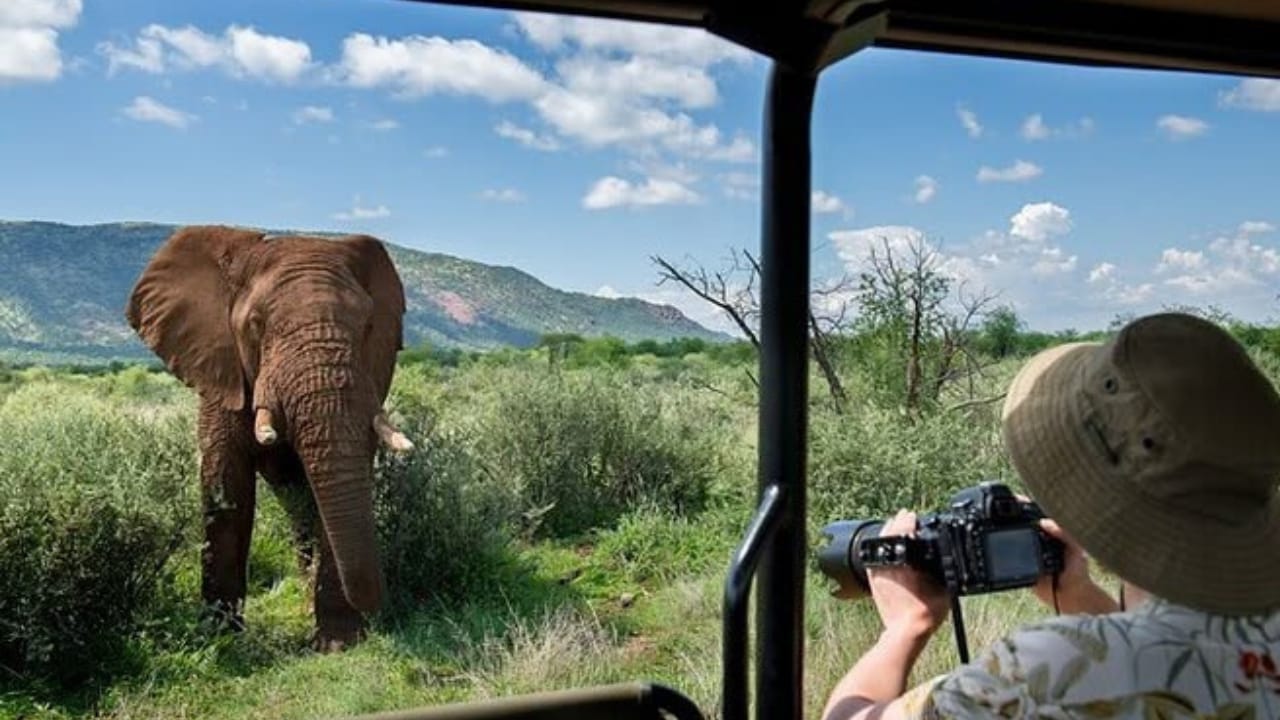 Johannesburg: 4-Tages-Safari im Pilanesberg-Nationalpark mit Camp