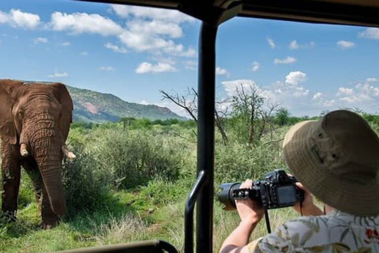 Johannesburg: 4-Day Pilanesberg Big Five Safari with Camp