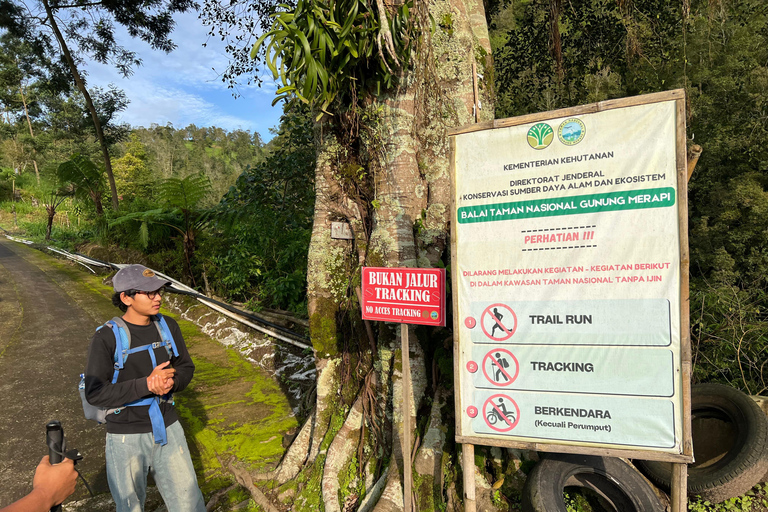 Yogyakarta: Merapi Volcano Trek with Transfer Daylight Trekking at Merapi Volcano (without sunrise)