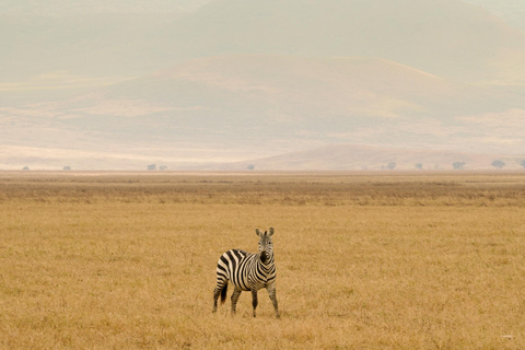 3 Daagse Serengeti &amp; Ngorongoro Groep Mid-range Safari