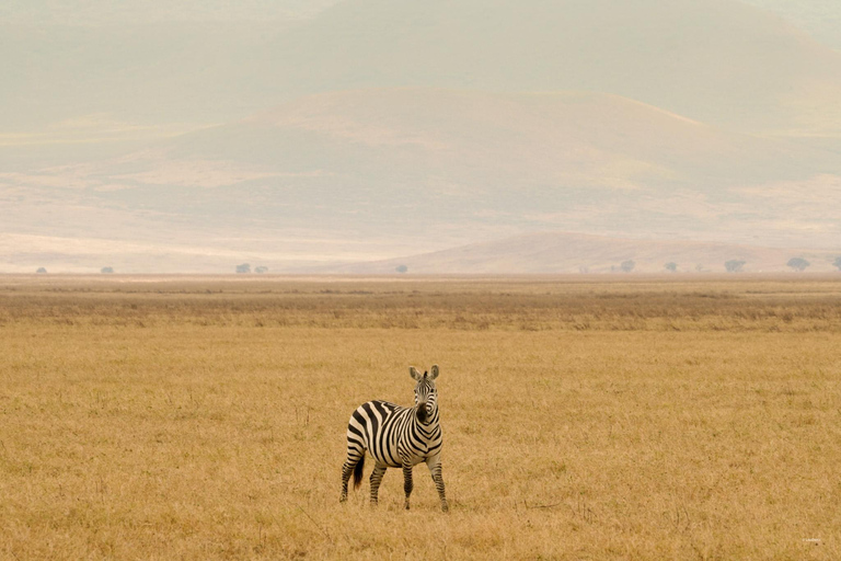 3 Daagse Serengeti &amp; Ngorongoro Groep Mid-range Safari