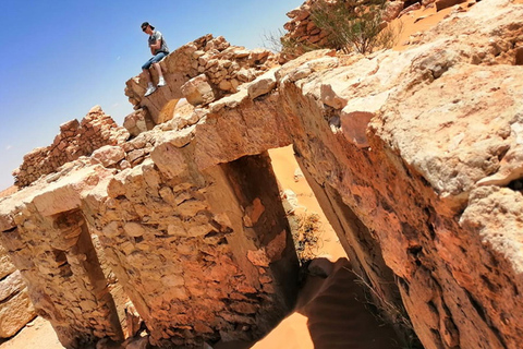 Private three days tour in the desert: 4x4, quad and camel.