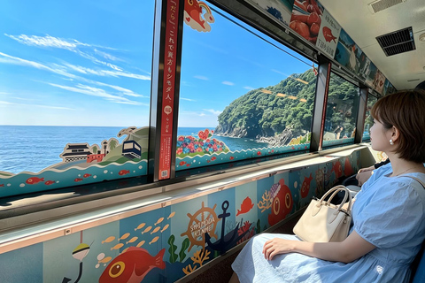 Small Group Day Tour:Omuro Mountain & the Izu Scenic Railway Hotel Transfer Option